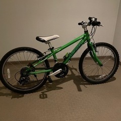 ルイガノ　22インチ　子供用自転車　キッズ　ジュニア　マウンテン...