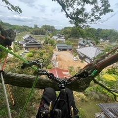 危険木、支障木の伐採、剪定