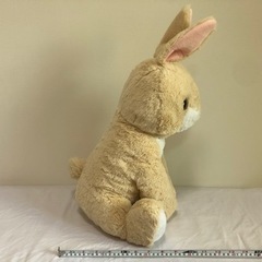 うさぎ　ぬいぐるみの画像