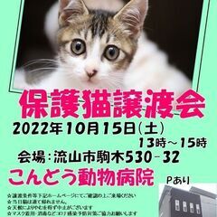 里親様募集