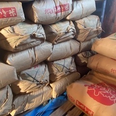 コシヒカリ　くず米　令和4年産　北杜市白州町
