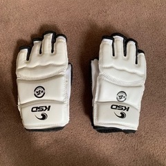 テコンドー　子供　グローブ・腕足ガード