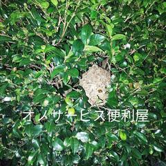 ２４時間対応❗愛知県全域対応❗❗蜂の巣駆除、ゴキブリ、蛇、コウモリなどお任せください。 - 豊田市