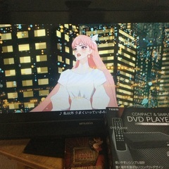 三菱電機製　2010年製液晶テレビREALとTEES製DVDプレ...