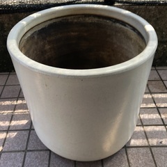 大型　植木鉢　鉢カバー　メダカ容器の画像