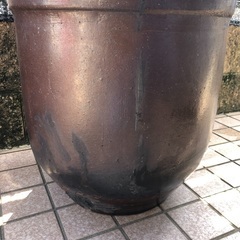 メダカ容器　かめ