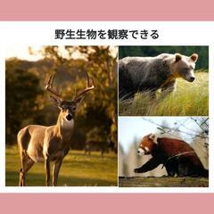 【カナダ🇨🇦バンクーバー留学】の画像