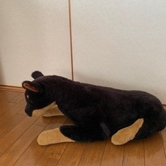 差し上げます❗️犬のぬいぐるみ