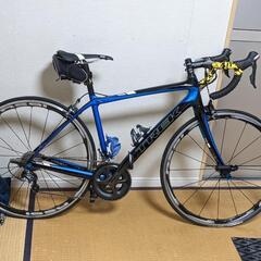 TREK ドマーネ6