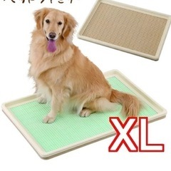 大型犬用トイレになります。