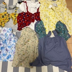 140cm夏から冬の画像
