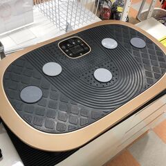 RIORES 振動マシン ボディシェイカープロ ※動作チェック済み済み