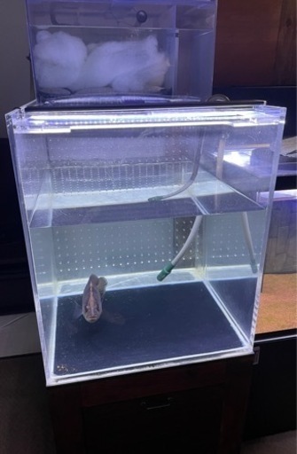 600×600 水槽フルセット