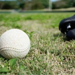 野球メンバー募集⚾️