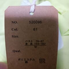 黄緑　ジャンパーの画像
