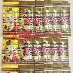 ディアジャングルシャンプートリートメント20セット　シャンプーサ...