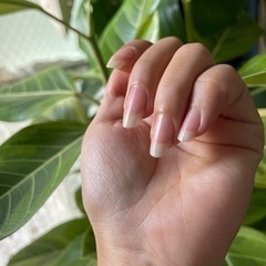 プロの技術【ネイルケア】セミナー