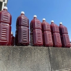 PSB 500ml×3本 【光合成細菌】の画像