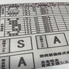 令和3年産恋の予感  