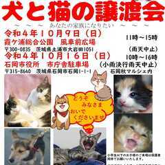 10月9日犬と猫の譲渡会～あなたの家族になりたい～