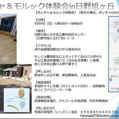 モルック＆ボッチャ体験会in日野