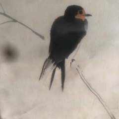 鳥掛け軸まとめ買いで決まりましたの画像