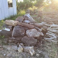 丸太、無償、好評につき在庫太いもの数個しか無いです。１度お問い合わせくださいの画像