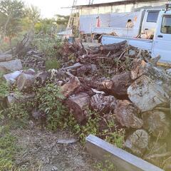 丸太、無償、好評につき在庫太いもの数個しか無いです。１度お問い合わせくださいの画像