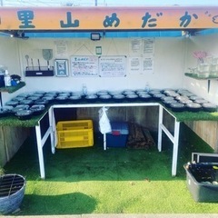 里山めだか無人販売所　9月27日出店