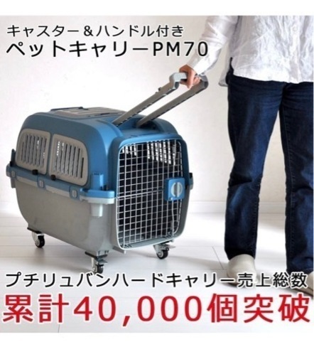 犬　キャリーケース　キャスター付き　プチリュバン