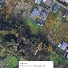 高さ15～20ｍ程度の樹木の伐採と整地の画像