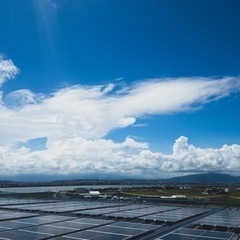 ⛑群馬県桐生市⛑で太陽光パネル運びをしてくれる方募集‼