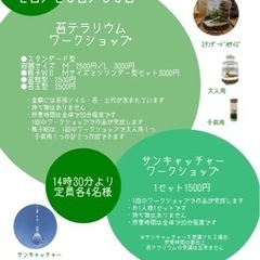 【葛飾区立石】苔テラリウム・サンキャッチャーWSのお知らせです