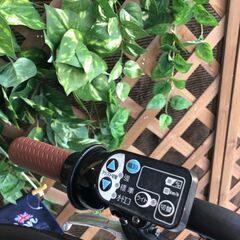 電動自転車  バッテリー良品 子供乗せ　 20インチ BJ　ブリヂストンの画像