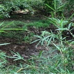 現地調査、現場確認、お手伝いします。