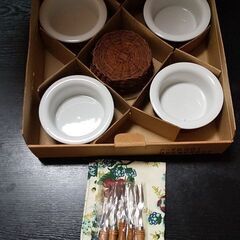 藤の編み込み付きココット