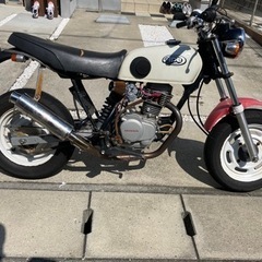 HONDA APE100  （ホンダ　エイプ100  ）値下げありの画像