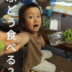 フルーツ王国を作る。