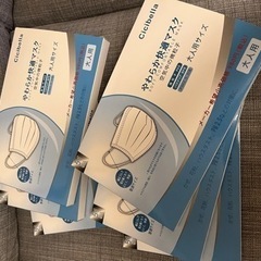 家庭用マスクセット　51枚×6箱