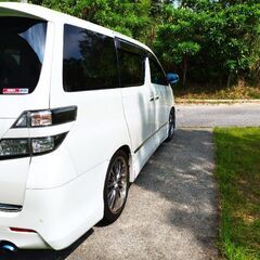 パールホワイトの画像