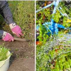 【30分／1袋1250円！】草むしり（45Lのゴミ袋使用）&除草...
