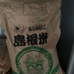 令和3年収穫 お米🌾 つや姫 約17k