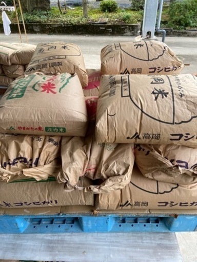 募集停止中　くず米　令和4年　新米コシヒカリ　富富富　富山県高岡産　25kg ¥1500