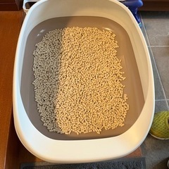 ネコのケージ、トイレ、爪研ぎ、ベッドのセットの画像