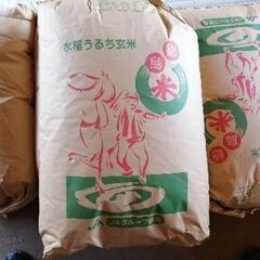 徳島県の古米の中古が安い!激安で譲ります・無料であげます 徳島県の古米の中古が安い!激安で譲ります・無料であげます