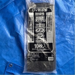 【決まりました】土嚢（UV加工土嚢袋入り）の画像