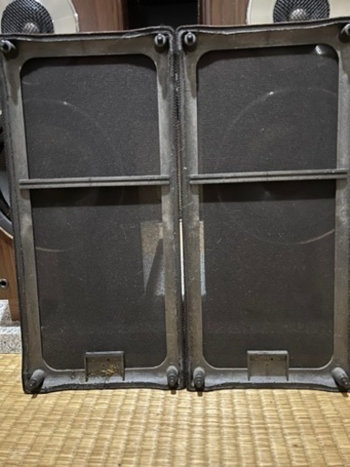 DIATONE DS-300V