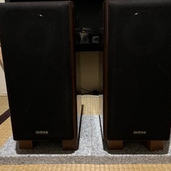 DIATONE DS-300Vの画像