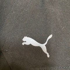 10月11日受付終了！プーマ　PUMA ランニング　ウェア　パンツ　スポーツの画像