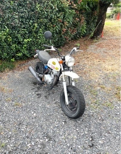 405. 動画あり　ホンダ　エイプ50  原付　バイク　50cc   車体